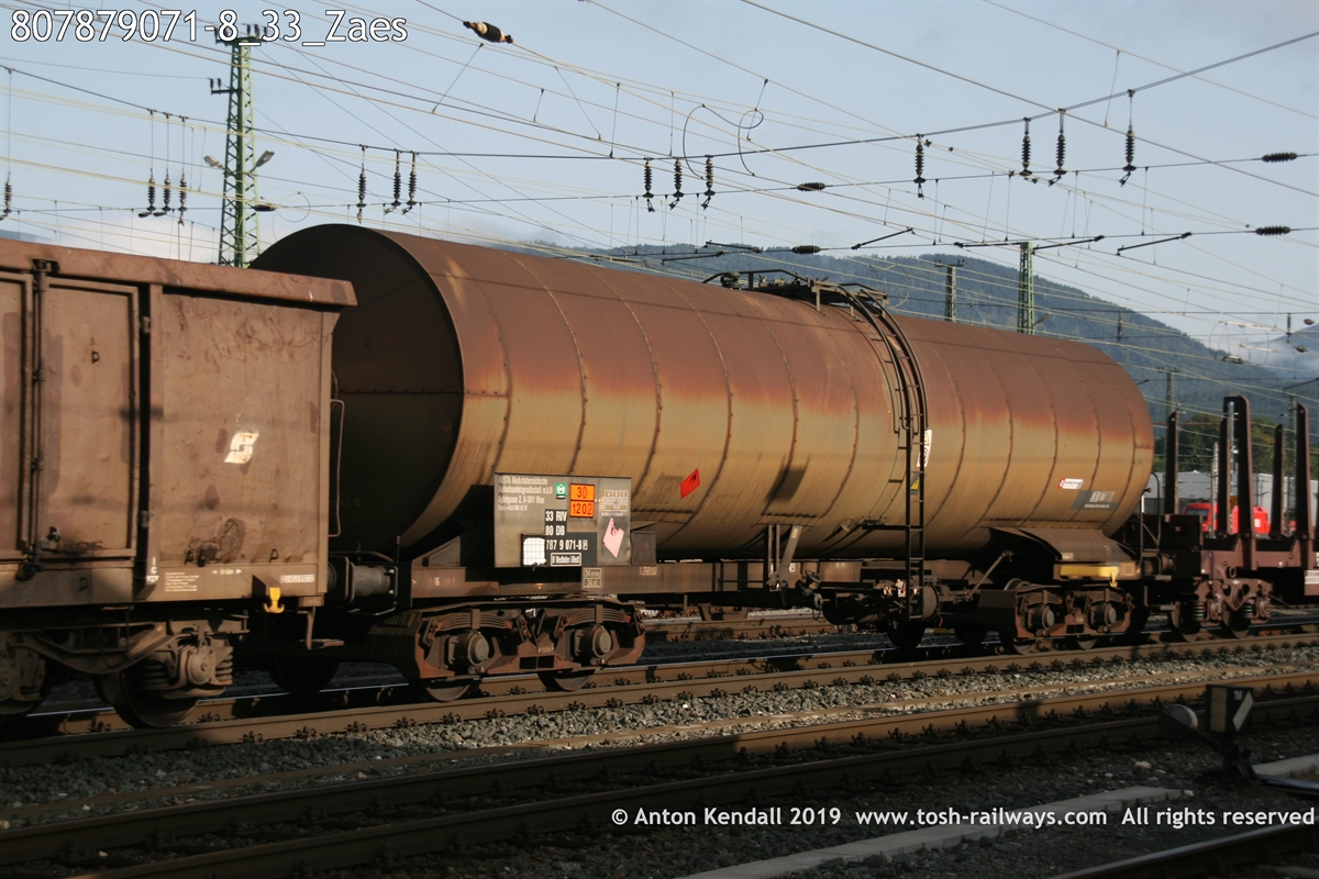 807879071-8_33_Zaes.JPG